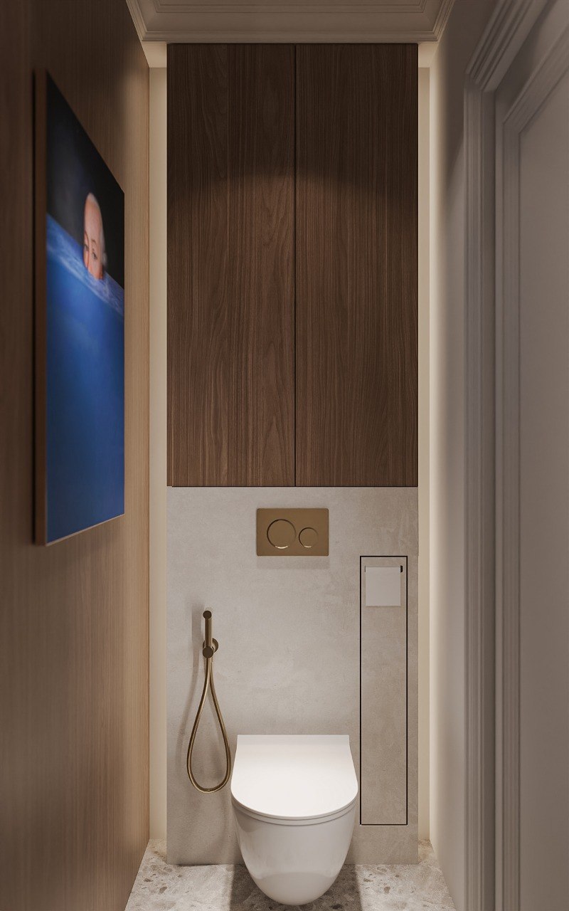 Guest bathroom toilet area